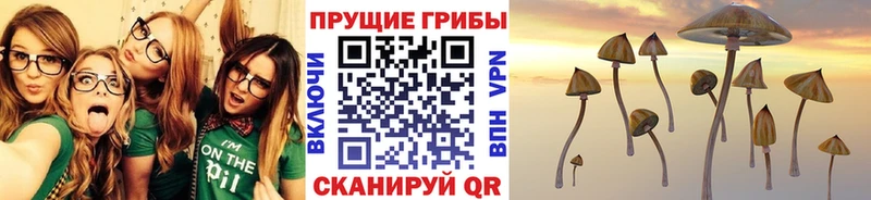 Псилоцибиновые грибы прущие грибы Керчь