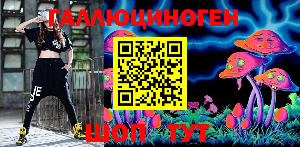 как найти закладки  Вход с VPN  Галлюциногенные грибы Psilocybe  Керчь  Псилоцибиновые грибы Psilocybe 