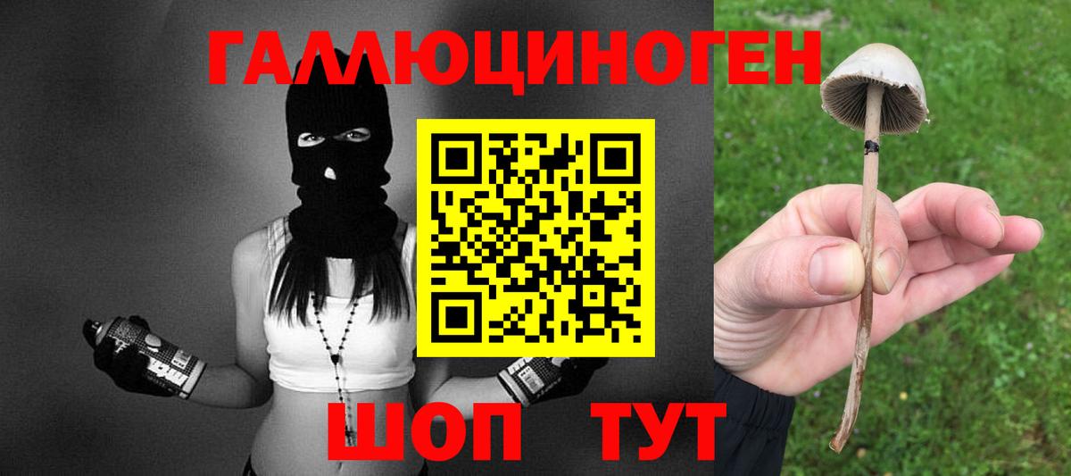 Псилоцибиновые грибы мухоморы Керчь